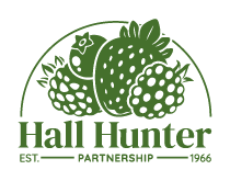 Hall Hunter logo