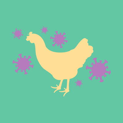 Blog Img