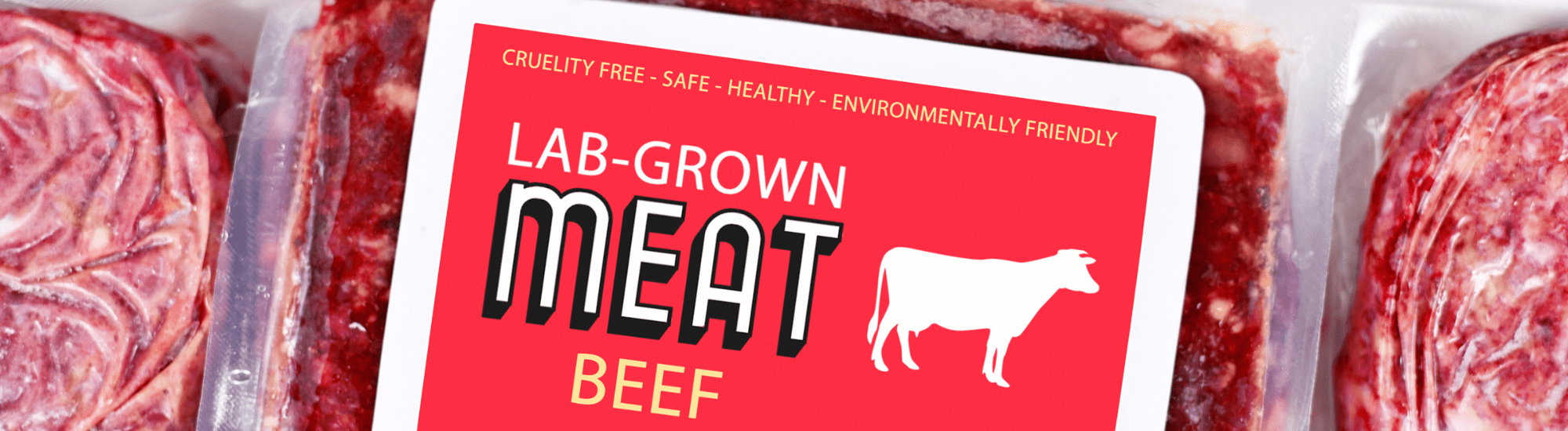 Lab Grown Meat