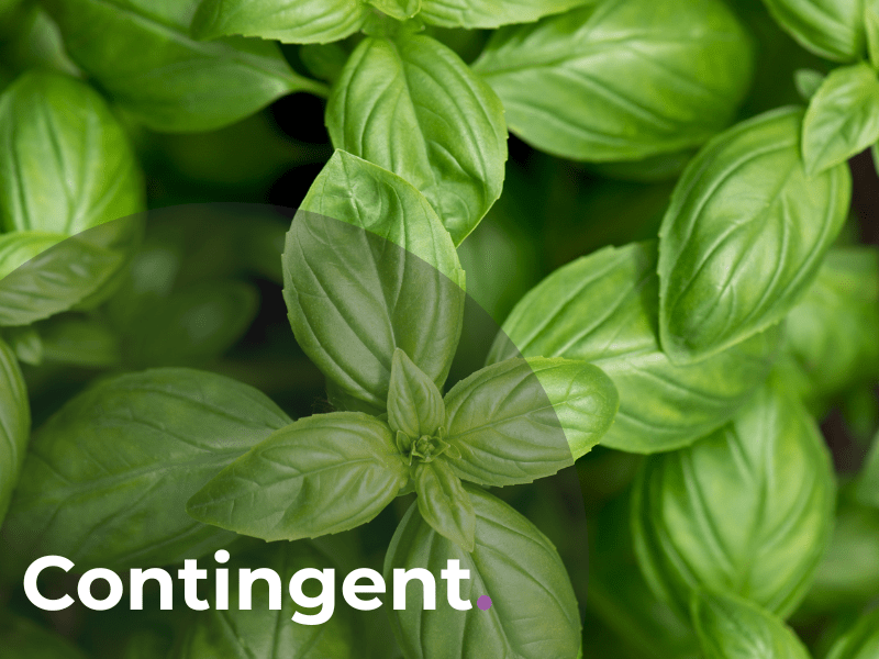 Contingent Recruitment