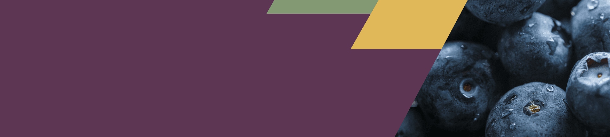 Banner Default Image