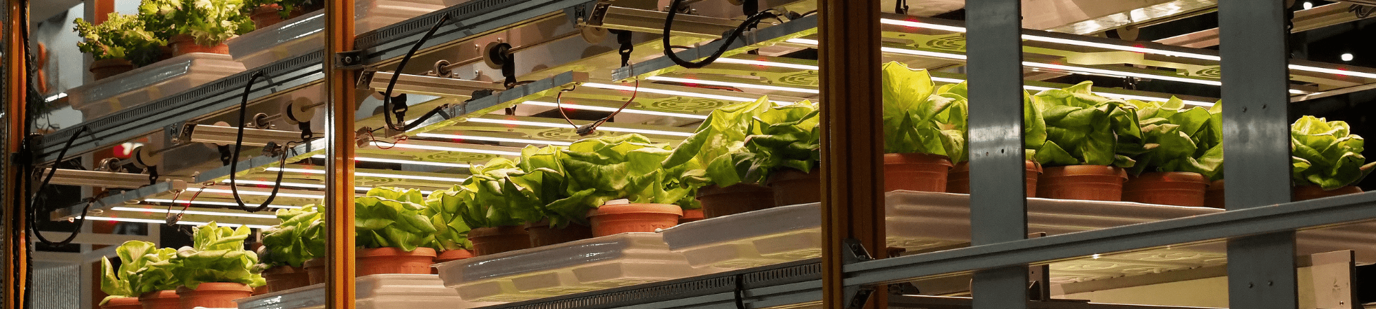 Banner Default Image