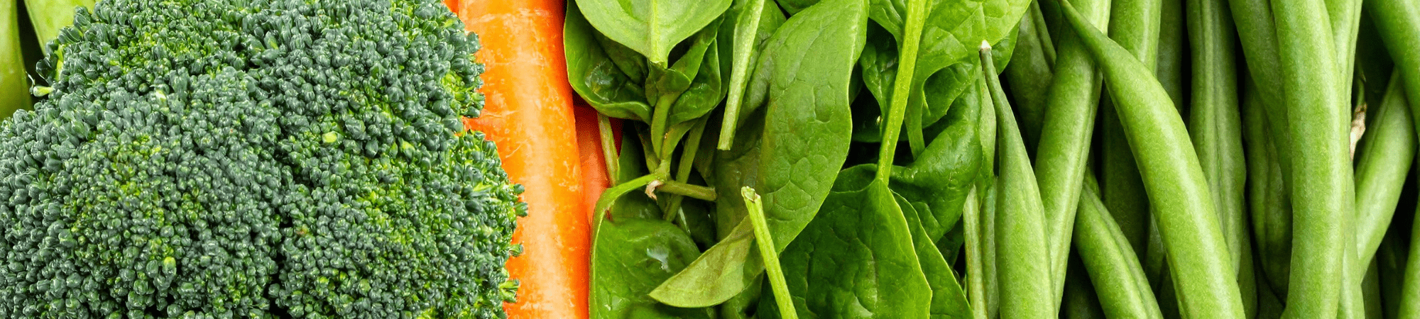 Banner Default Image