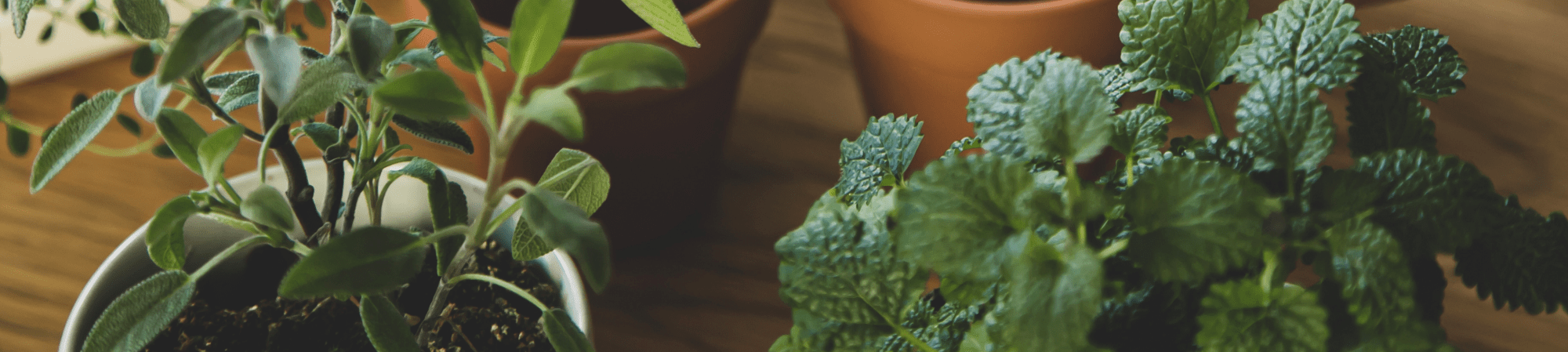 Banner Default Image