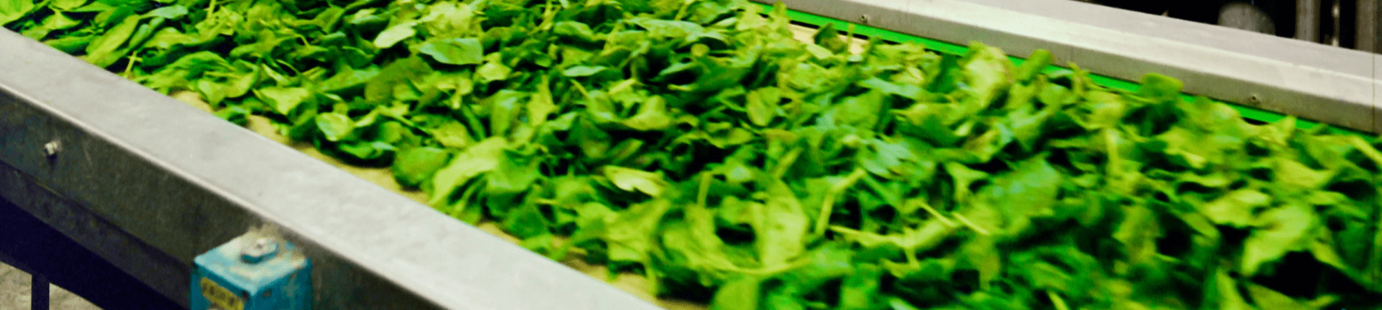 Banner Default Image