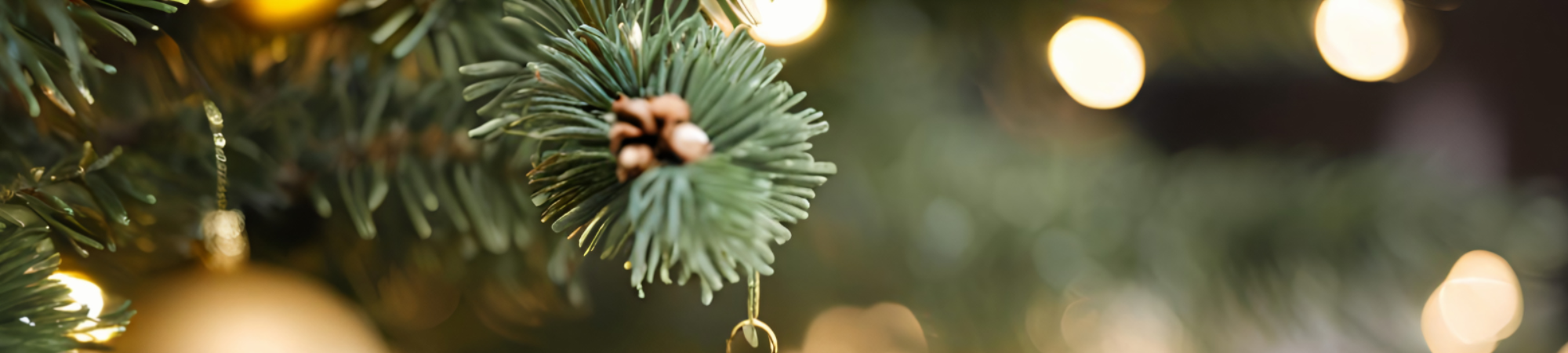 Image 2025 11 07 T09 38 28