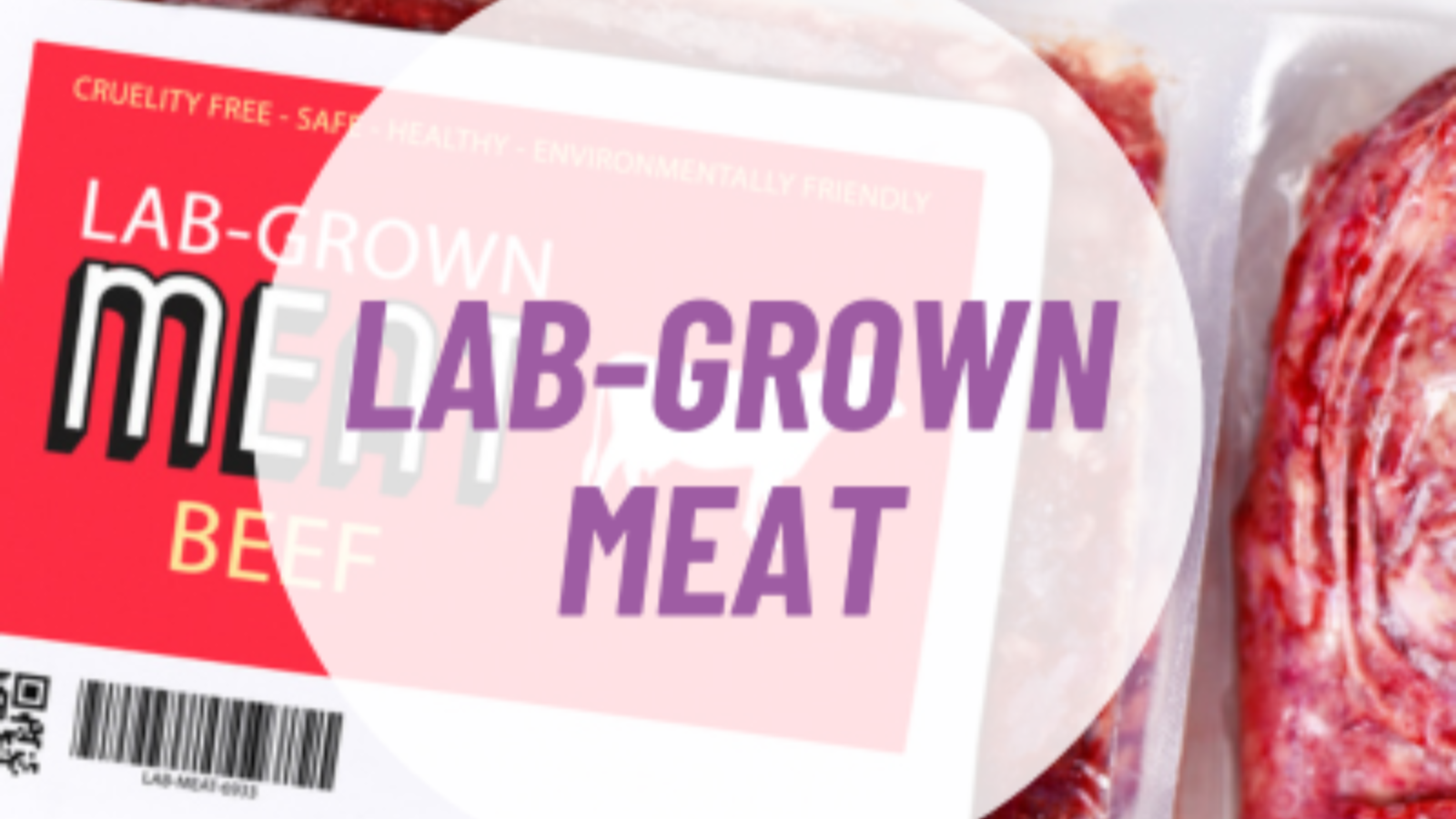 Image 2025 07 15 T10 26 00