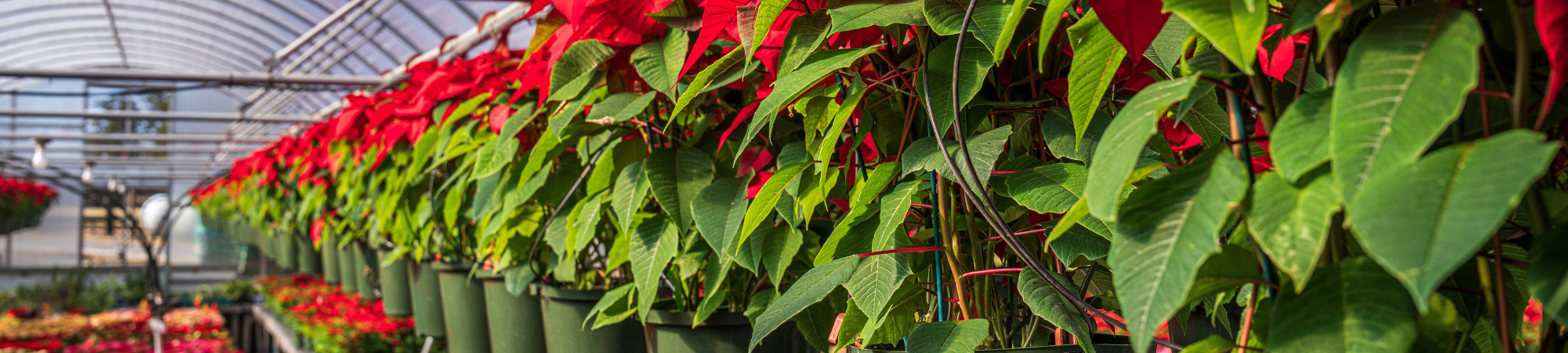 Image 2025 12 10 T09 00 05