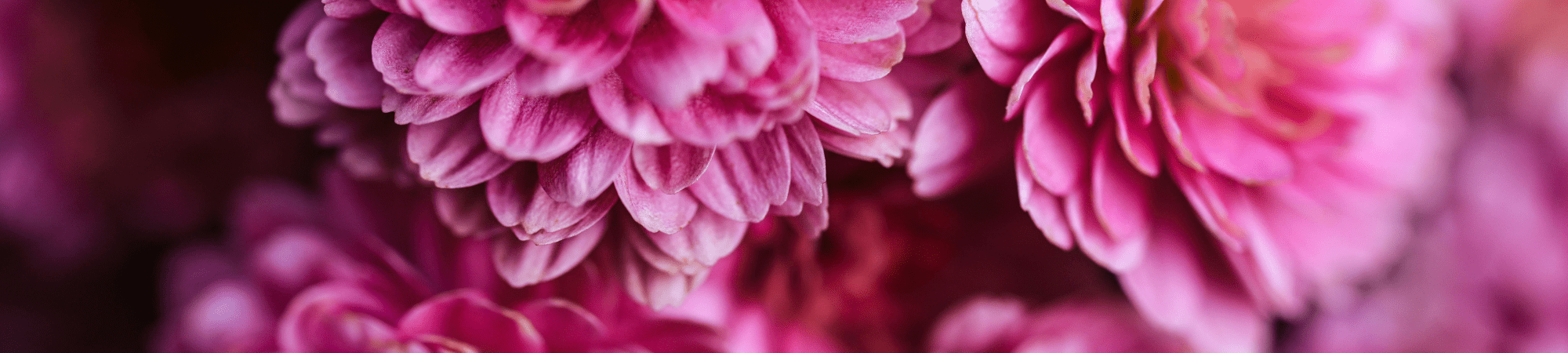 Banner Default Image