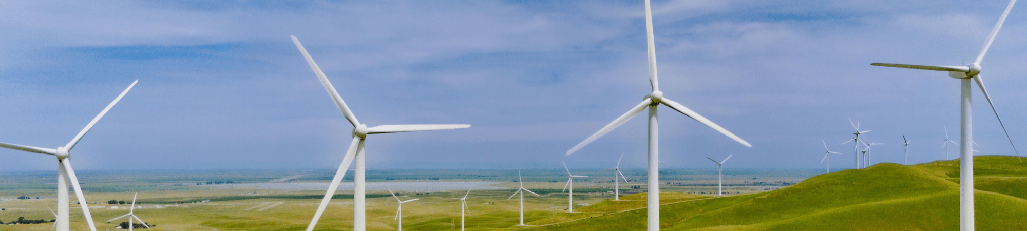 Image 2026 01 12 T10 00 41