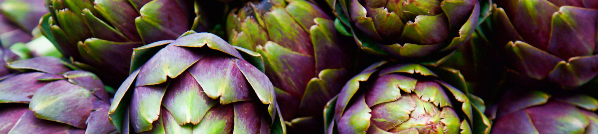 Banner Default Image