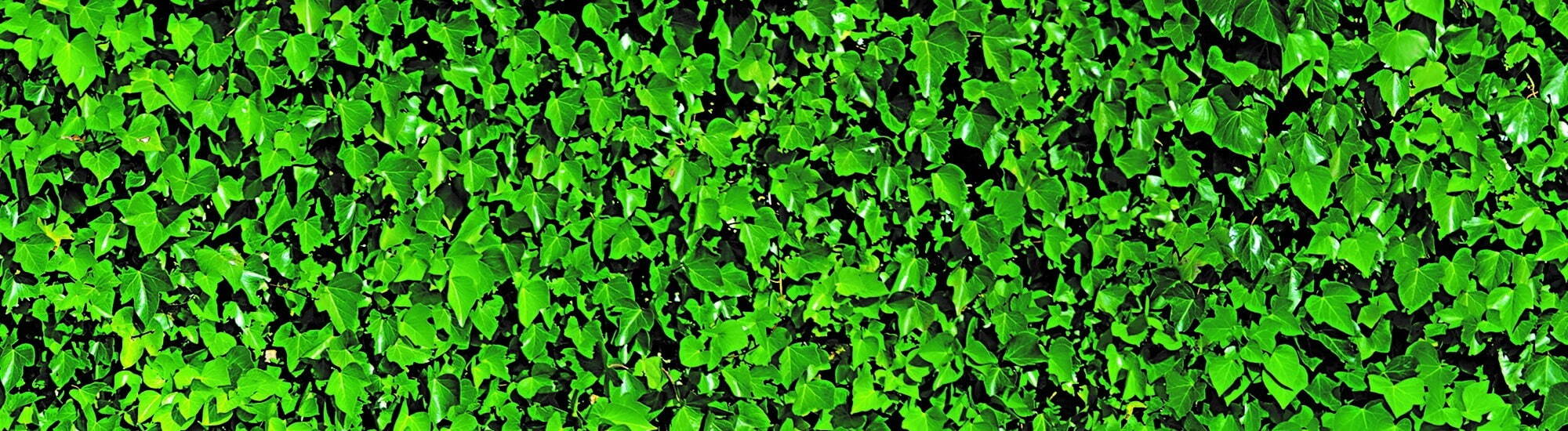 Banner Default Image
