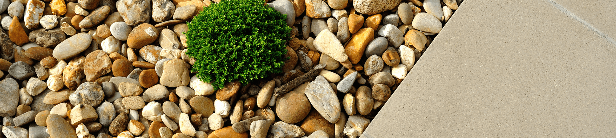 Banner Default Image