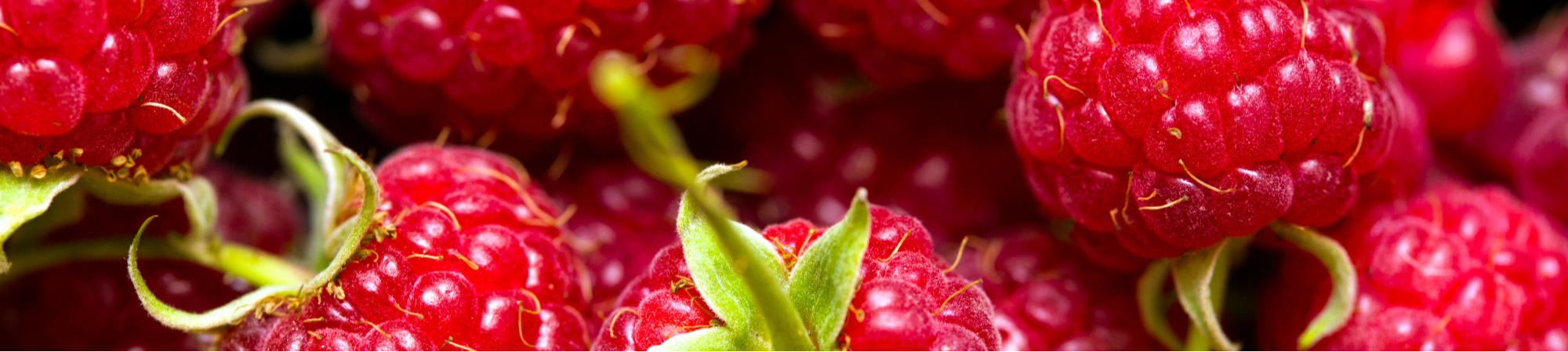 Banner Default Image