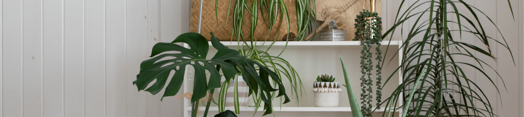 Banner Default Image