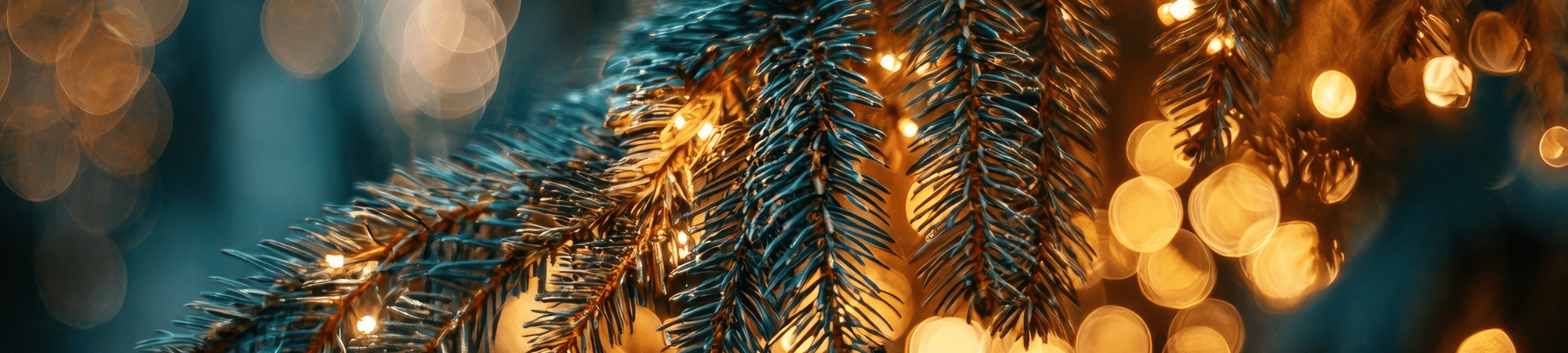 Image 2025 12 01 T10 33 53