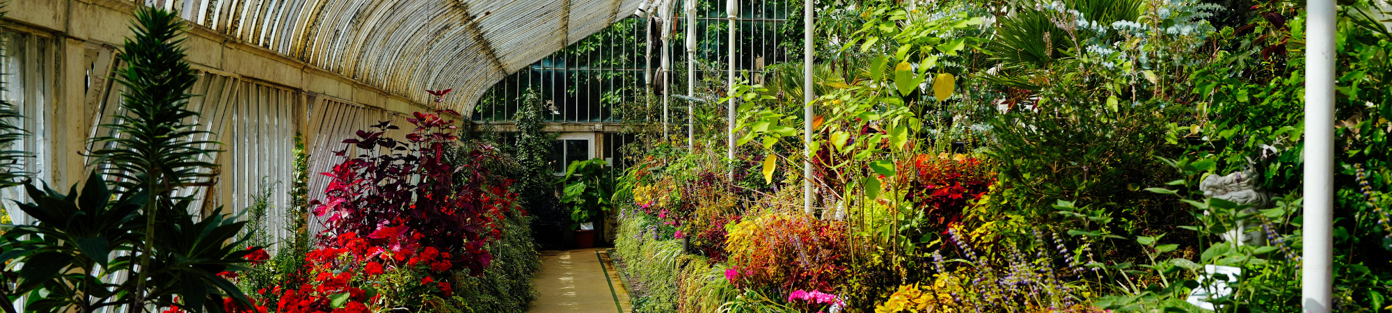 Banner Default Image