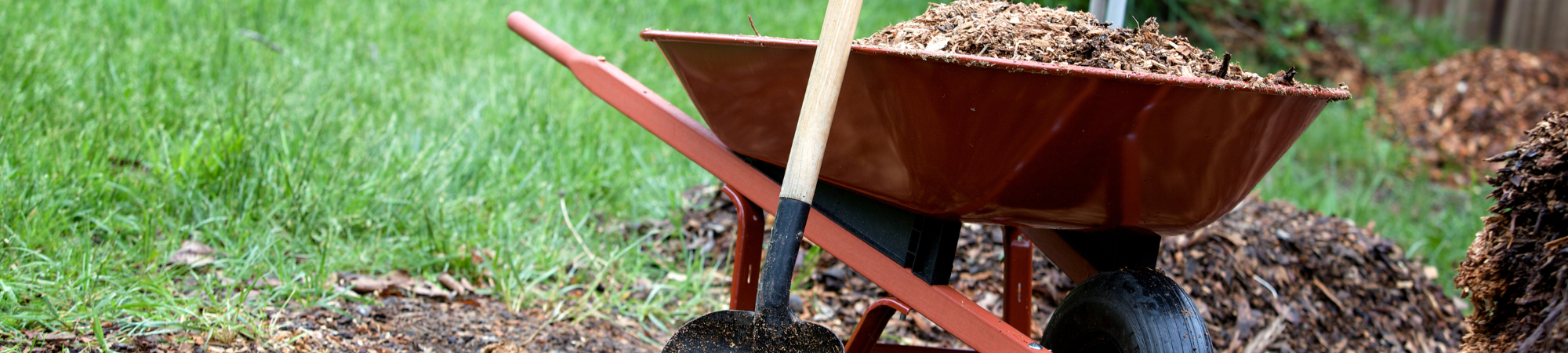 Banner Default Image