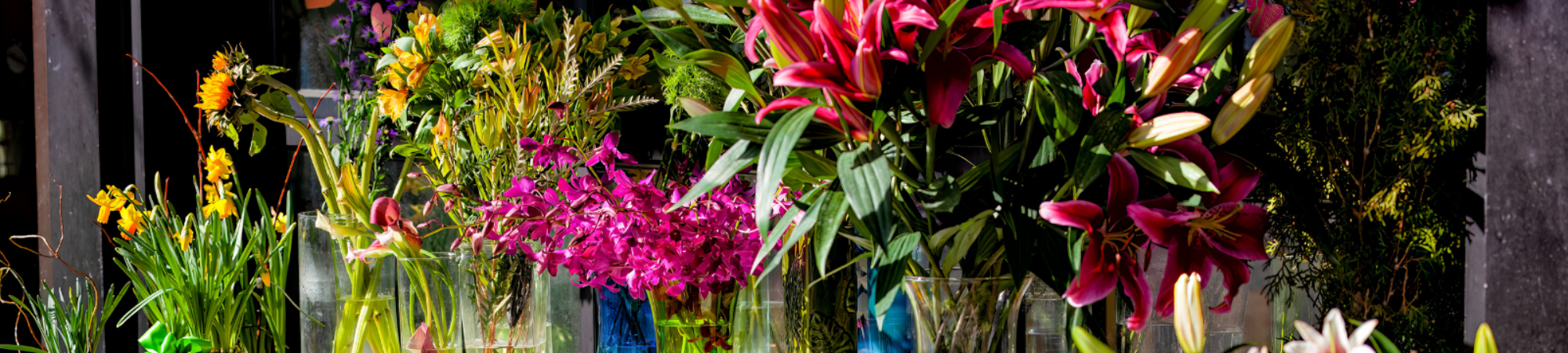 Banner Default Image