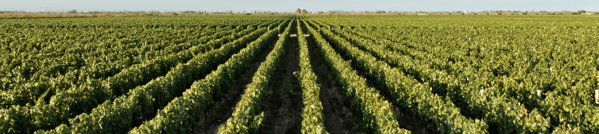 Image 2025 11 14 T09 32 40