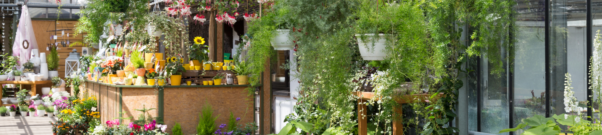 Banner Default Image