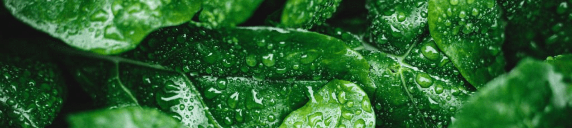 Banner Default Image
