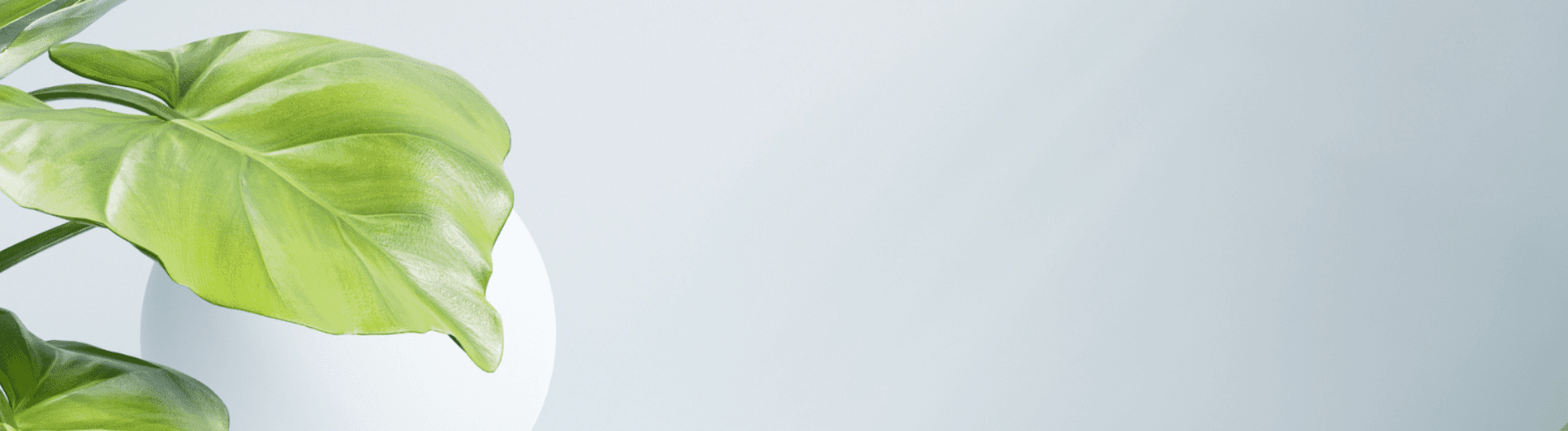 Banner Default Image