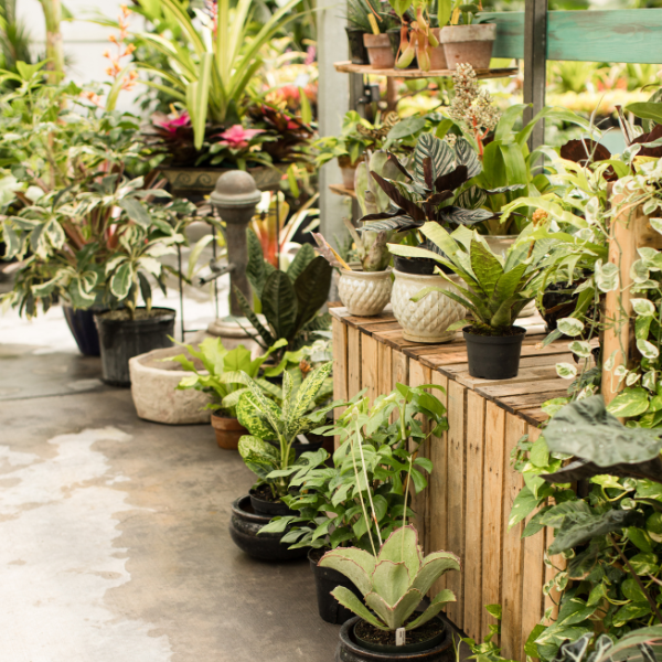 Garden Centre