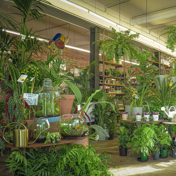 Garden Centre