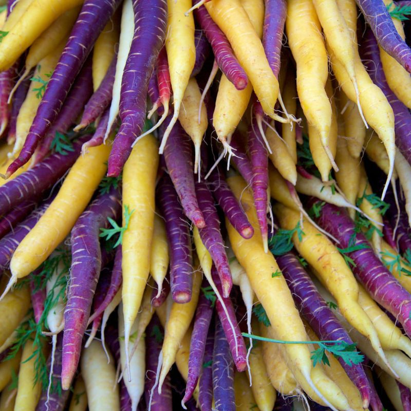 Fresh Produce